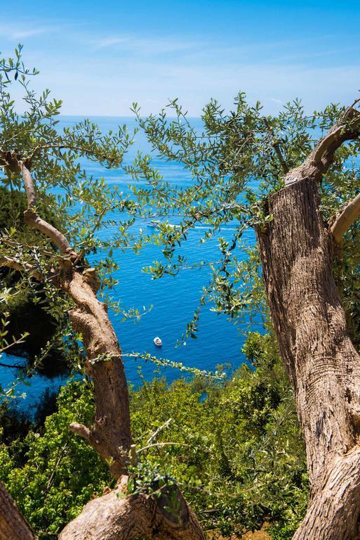 Villa De Rosa Positano Bagian luar foto